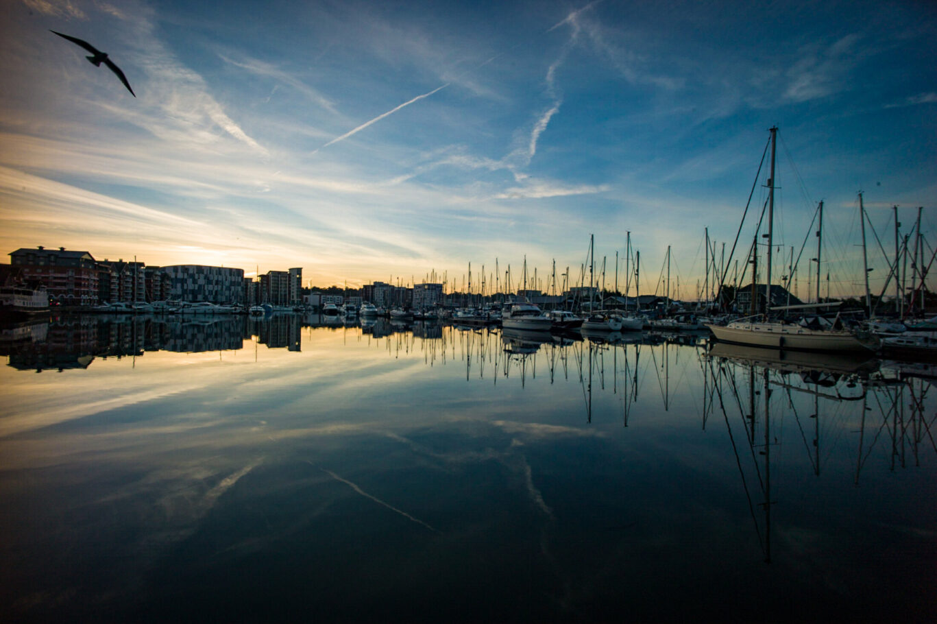 Marina Reflections
