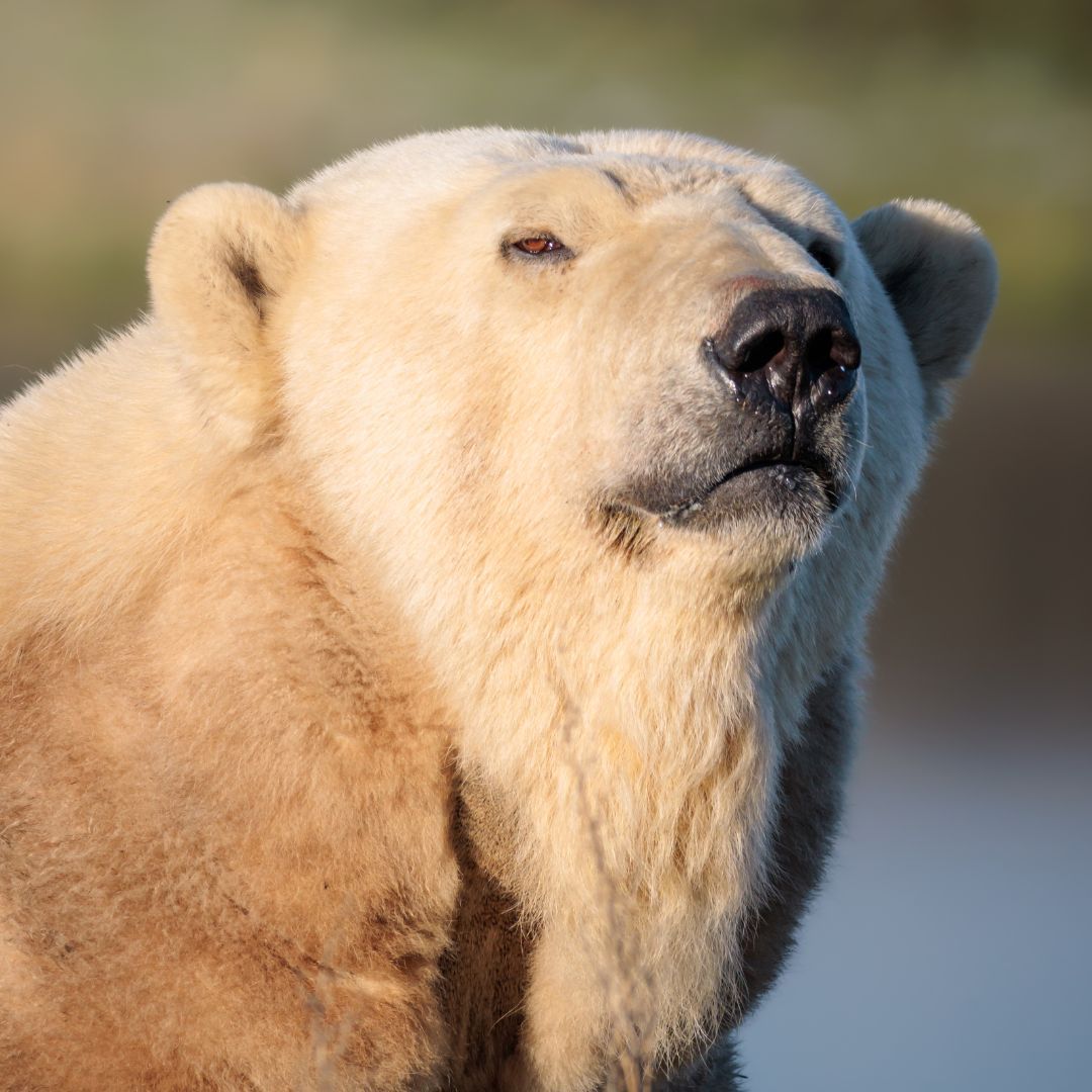 ae75e4c44feb0e00a95f5afe380b53f47817dbc0